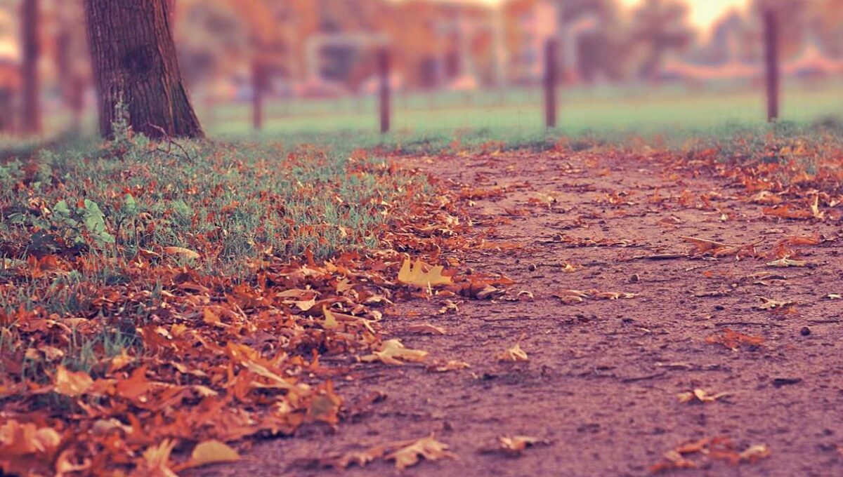 Eveniet quas consectetur reiciendis quia