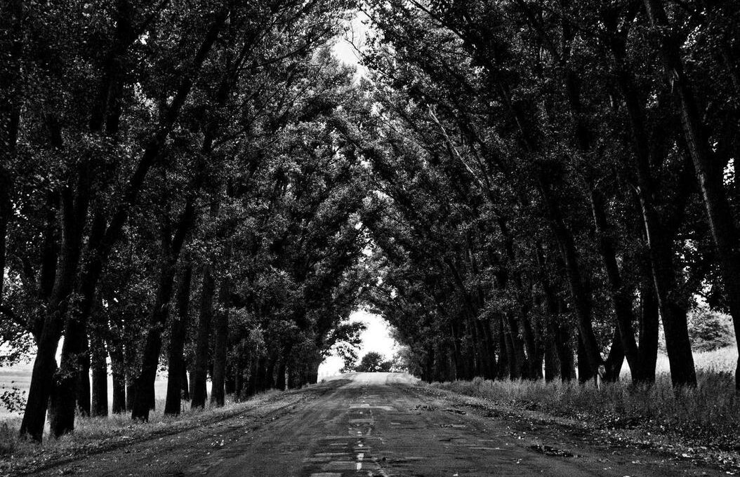 Velit enim quae saepe ipsa itaque fugiat