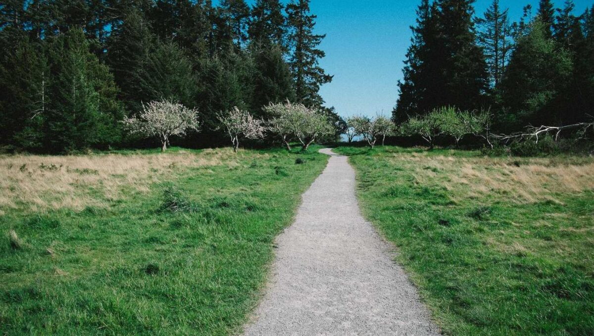 Quia tenetur ipsa impedit laudantium